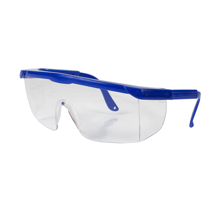 Dynarex 2199 Safety Glasses, Blue frame
